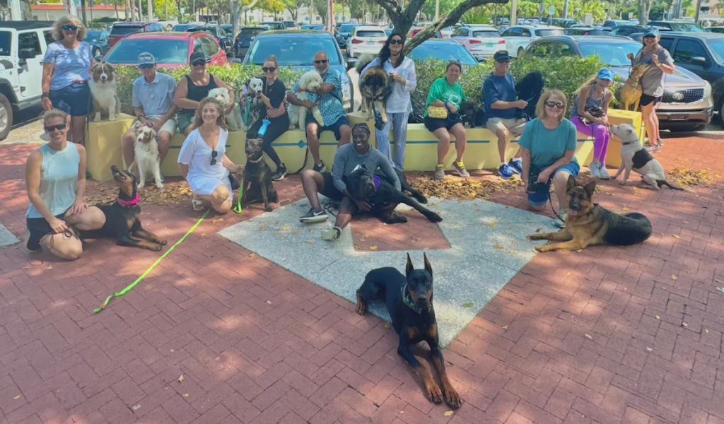 Dog-to-Dog Meet & Greets: A Guide to Calm and Safe Introductions