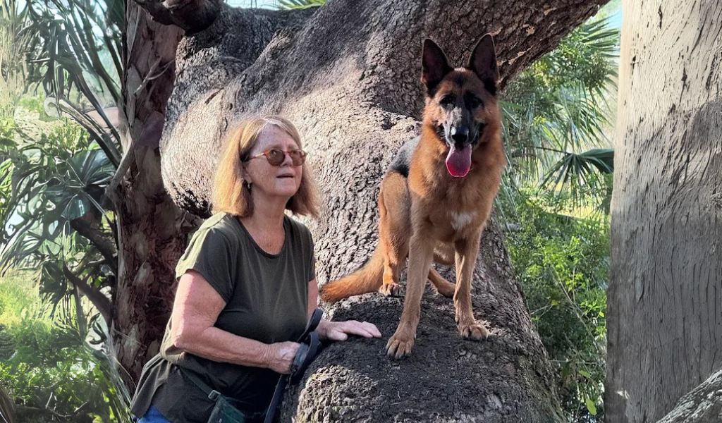 What Is Marker Training for Dogs?